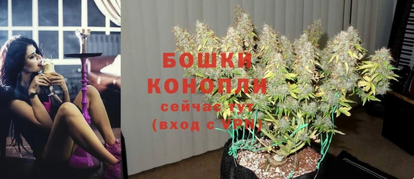 твердый Корсаков