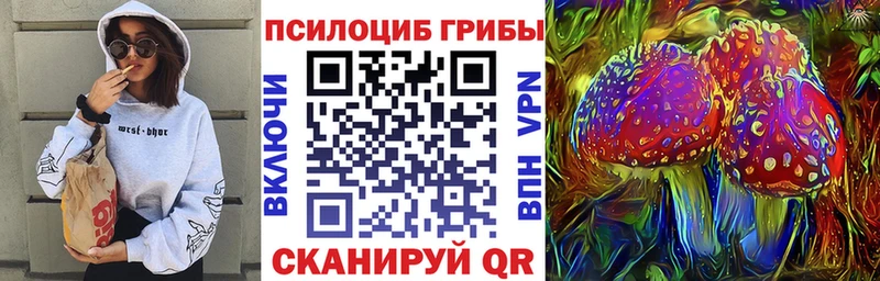 Галлюциногенные грибы Cubensis Суровикино