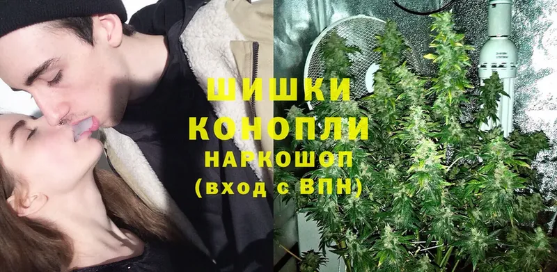 ссылка на мегу как зайти  Суровикино  Шишки марихуана THC 21%  как найти закладки 